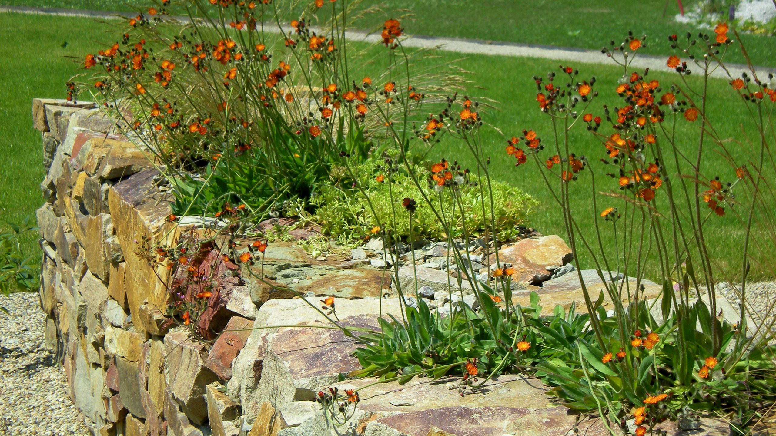 Fotografie kamenné zídky